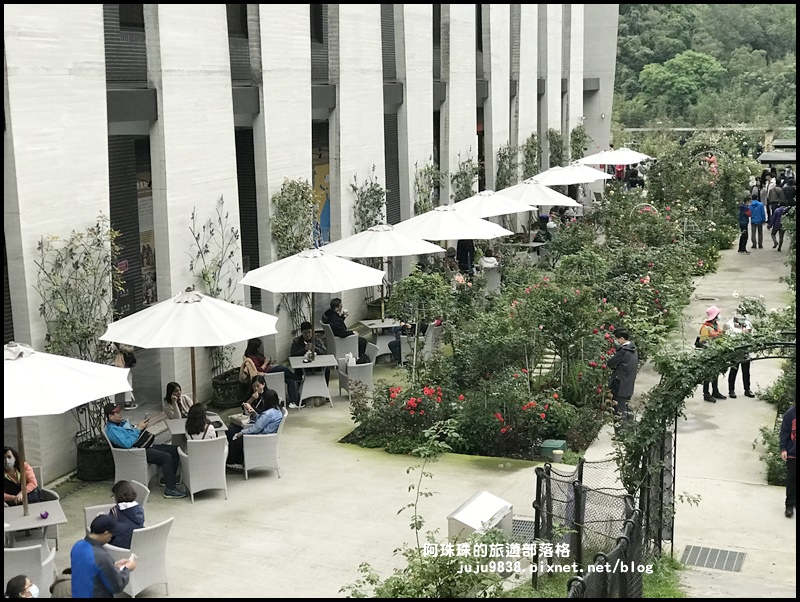 雅聞七里香玫瑰森林43.JPG 雅聞七里香玫瑰森林43.JPG