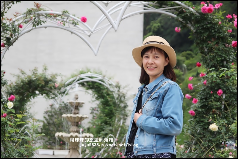 雅聞七里香玫瑰森林5.JPG 雅聞七里香玫瑰森林5.JPG