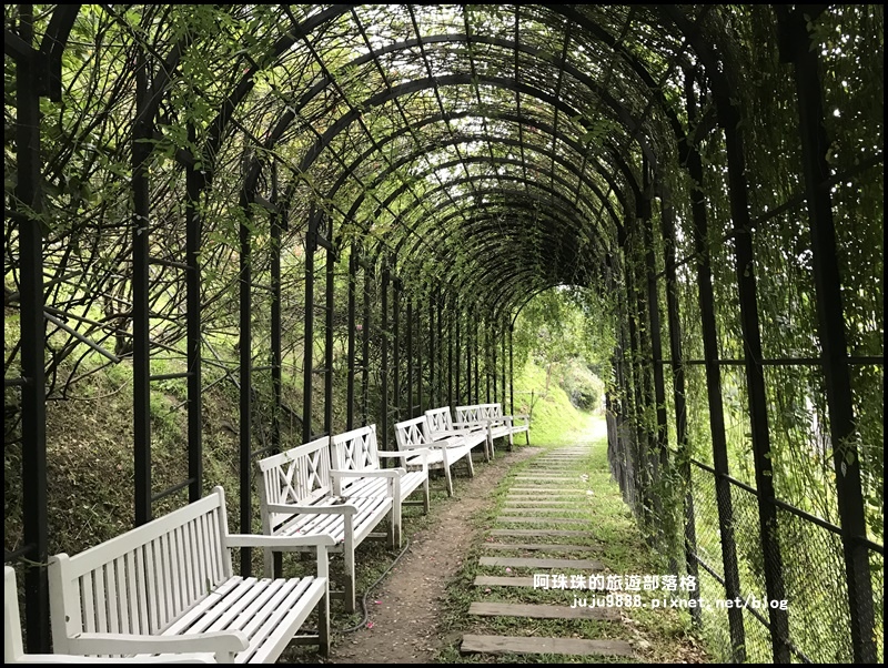 3雅聞七里香玫瑰森林4.JPG 3雅聞七里香玫瑰森林4.JPG