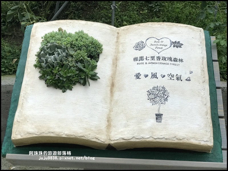 雅聞七里香玫瑰森林41.JPG 雅聞七里香玫瑰森林41.JPG