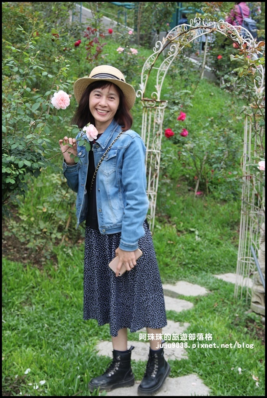 雅聞七里香玫瑰森林1.JPG 雅聞七里香玫瑰森林1.JPG