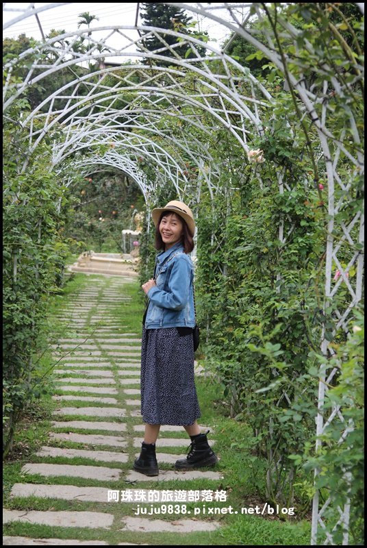 雅聞七里香玫瑰森林2.JPG 雅聞七里香玫瑰森林2.JPG