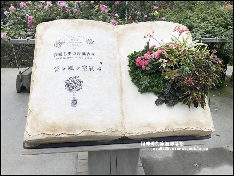 雅聞七里香玫瑰森林35.JPG 雅聞七里香玫瑰森林35.JPG