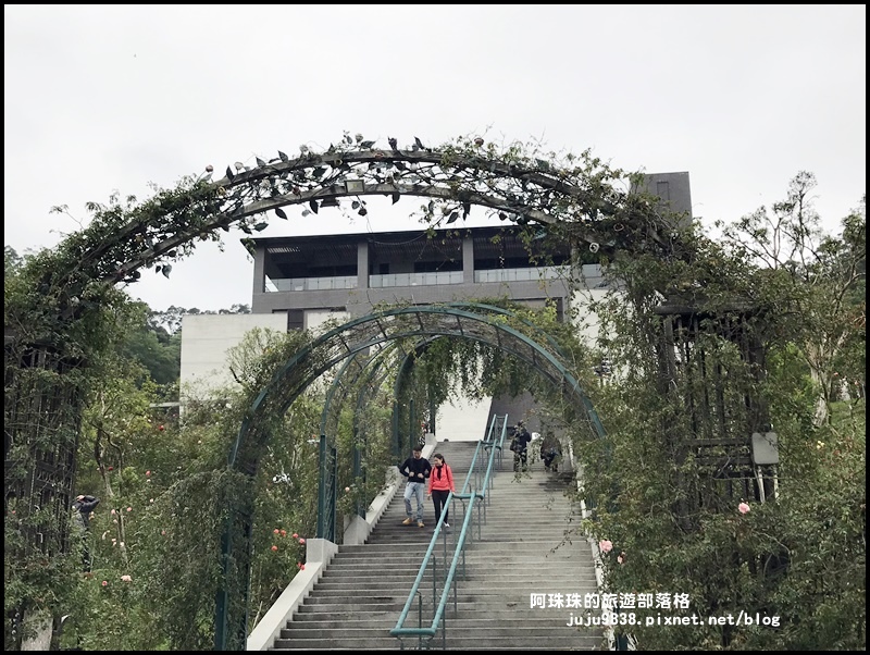 雅聞七里香玫瑰森林27.JPG 雅聞七里香玫瑰森林27.JPG