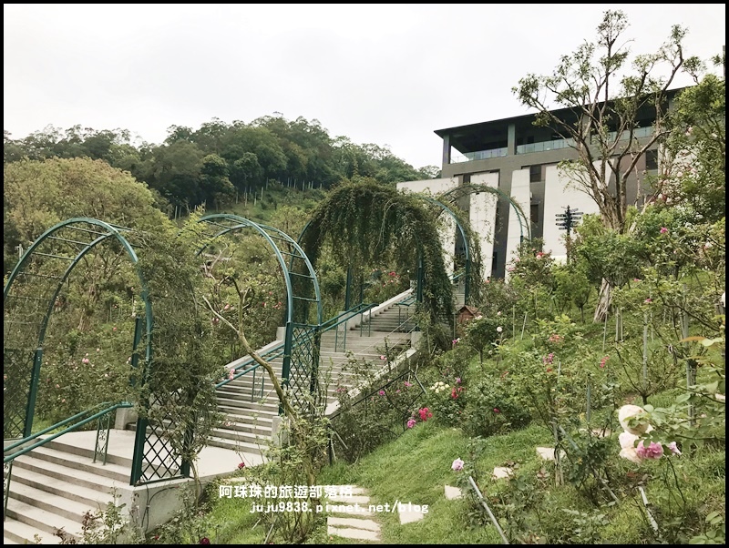 雅聞七里香玫瑰森林29.JPG 雅聞七里香玫瑰森林29.JPG