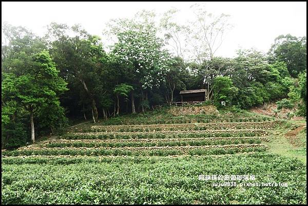 和窯文創園區59.JPG 和窯文創園區59.JPG