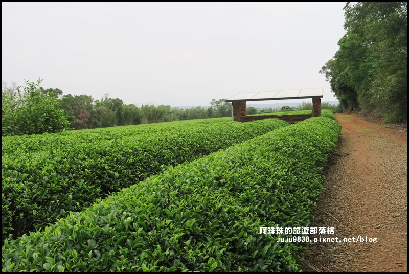 和窯文創園區45.JPG