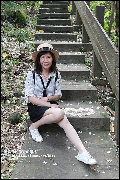 泰山義學坑步道11.JPG 泰山義學坑步道11.JPG