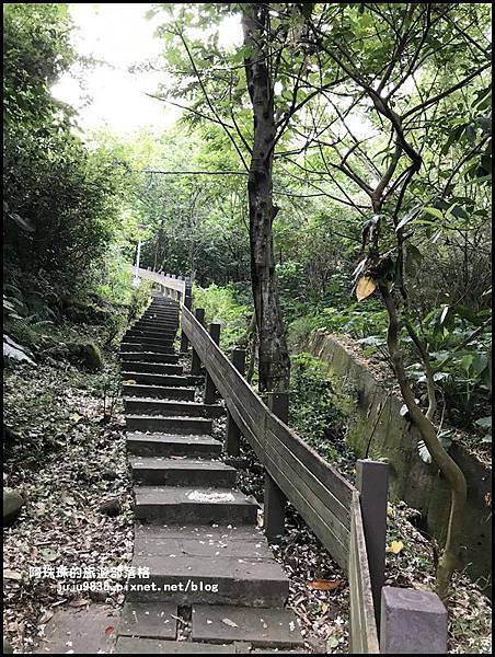 泰山義學坑步道9.JPG 泰山義學坑步道9.JPG