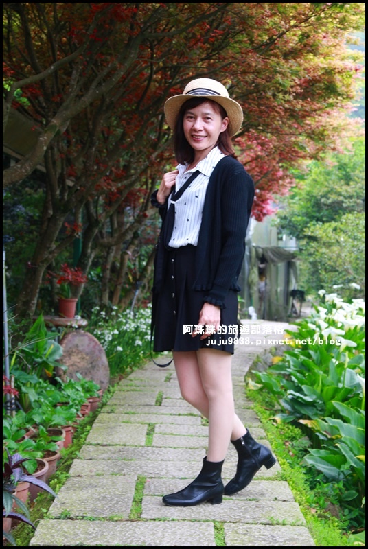 竹子湖海芋季14.JPG 竹子湖海芋季14.JPG