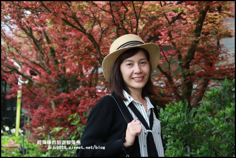 竹子湖海芋季12.JPG 竹子湖海芋季12.JPG