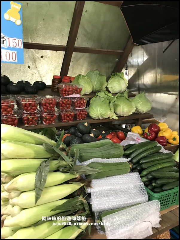 竹子湖海芋季38.JPG 竹子湖海芋季38.JPG