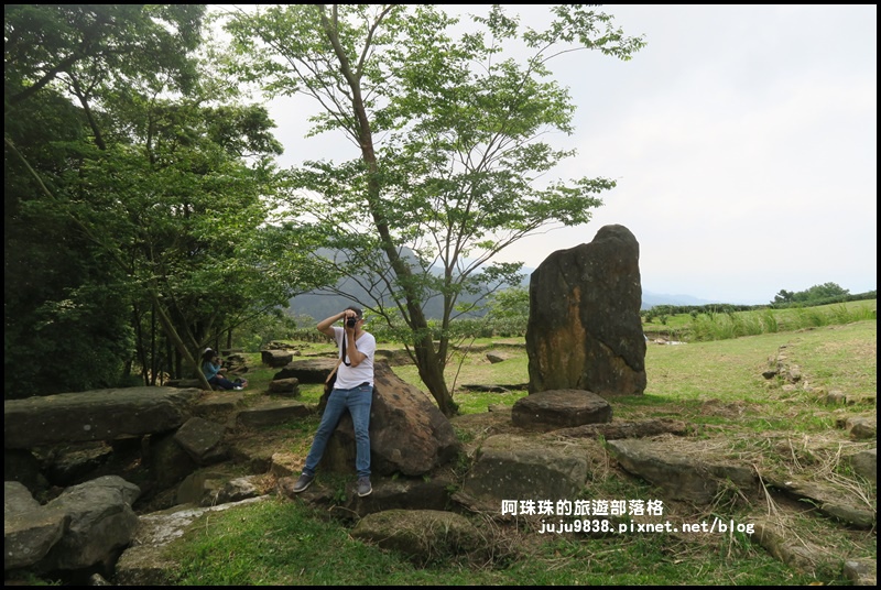 熊空茶園60.JPG