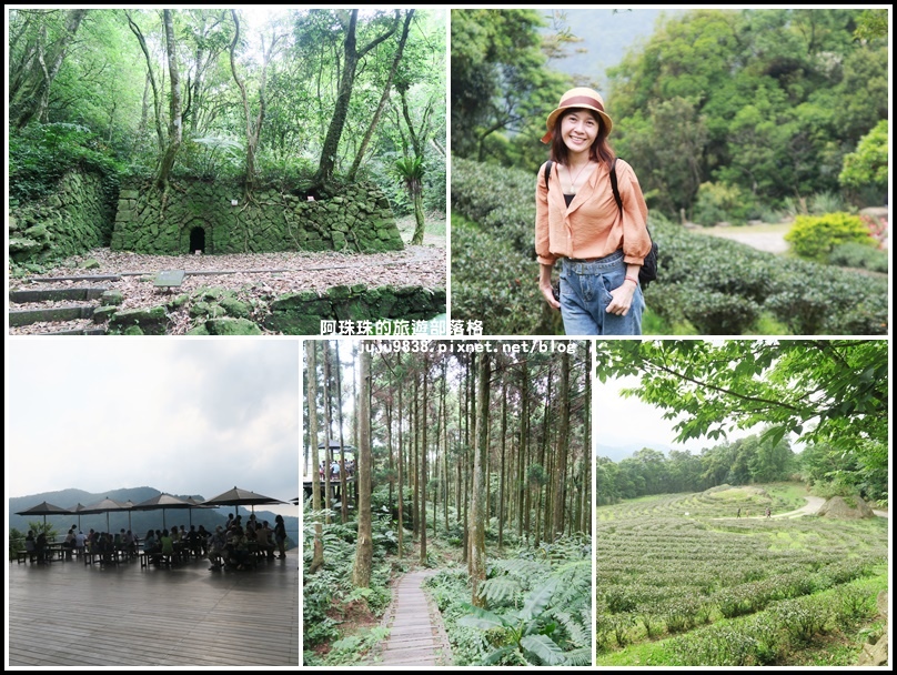 熊空茶園,台灣農林,柳杉林,茶葉蛋,古炭窯,油桐花,台茶8號,新北,三峽,杉木林,森林,拍照,打卡,IG,花季