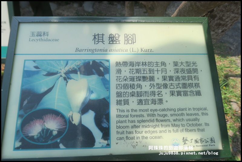 龍坑59.JPG 龍坑59.JPG