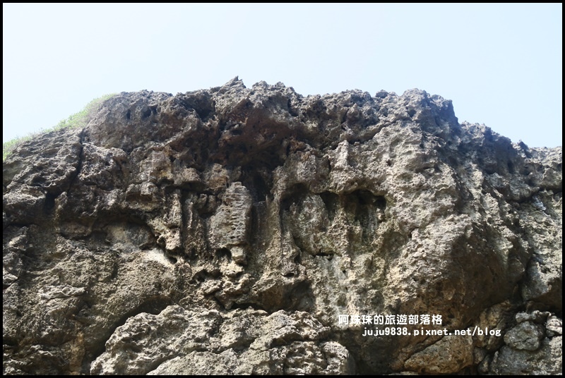 龍坑57.JPG 龍坑57.JPG