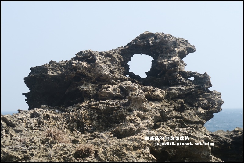 龍坑53.JPG 龍坑53.JPG