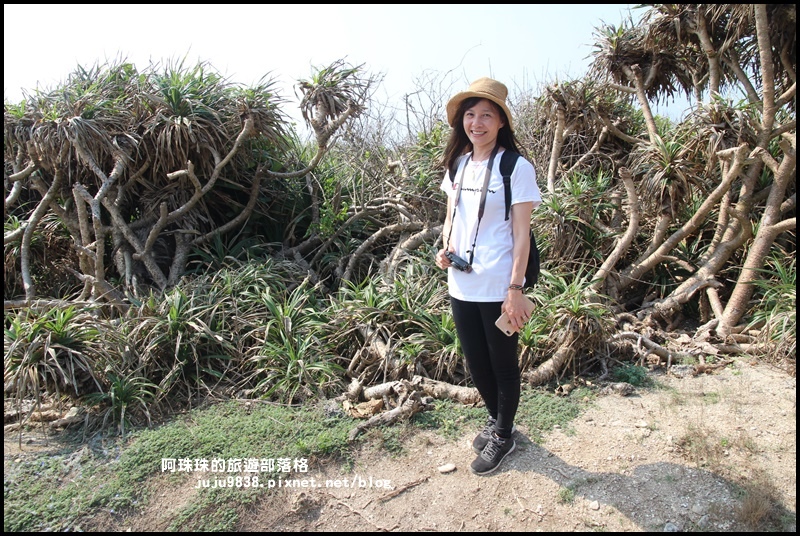 龍坑12.JPG 龍坑12.JPG