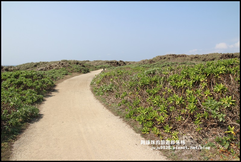 龍坑14.JPG 龍坑14.JPG