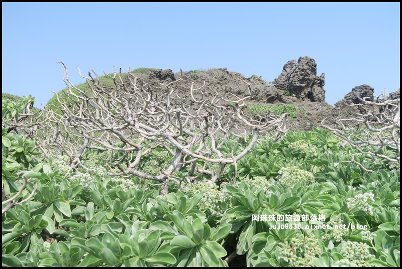 龍坑49.JPG 龍坑49.JPG