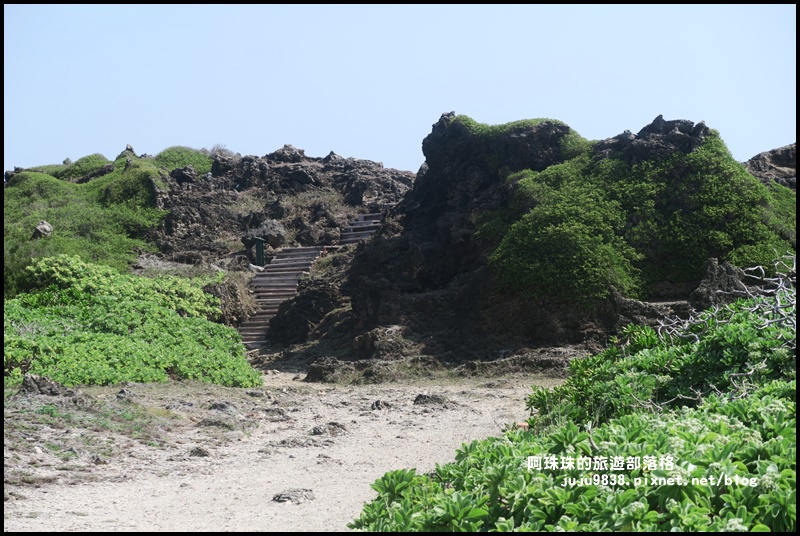 龍坑48.JPG 龍坑48.JPG