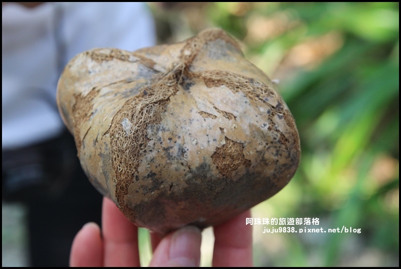 龍坑8.JPG 龍坑8.JPG