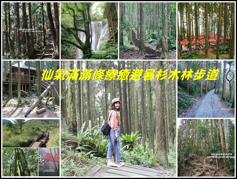 杉木林步道,太平山見晴懷古步道,太平山茂興懷舊古道,滿月圓森林遊樂區,東眼山自導式步道,山上人家森林農場,馬武督探索森林,北部步道,登山步道,避暑步道,北部景點,百岳,小百岳,瀑布,三角點,神木,山屋
