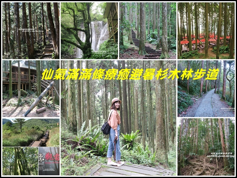 北部步道,登山步道,避暑步道,北部景點,百岳,小百岳,瀑布,三角點,神木,山屋,古道,宜蘭景點