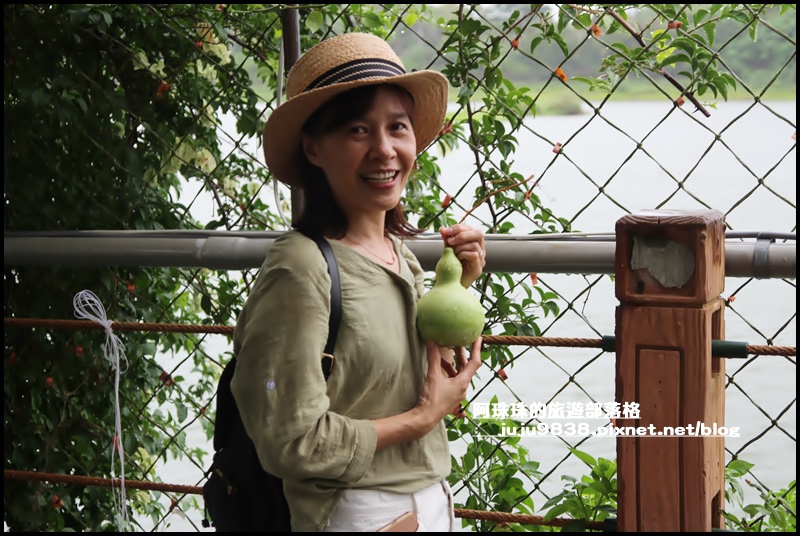 造橋南瓜隧道18.JPG 造橋南瓜隧道18.JPG