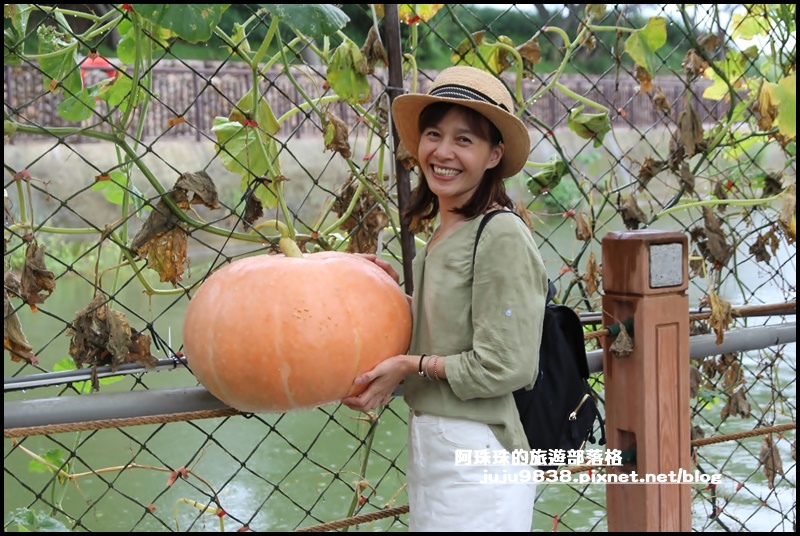 造橋南瓜隧道15.JPG 造橋南瓜隧道15.JPG