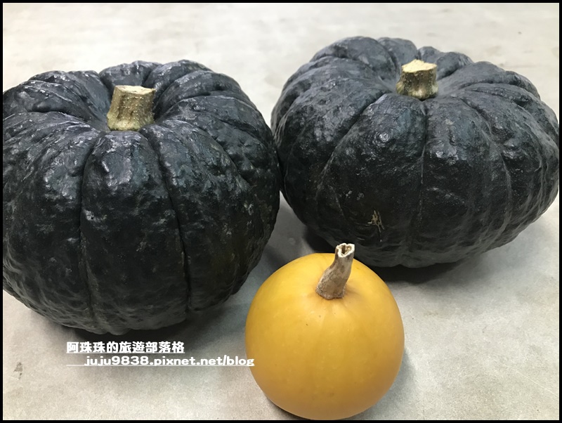 造橋南瓜隧道37.JPG 造橋南瓜隧道37.JPG