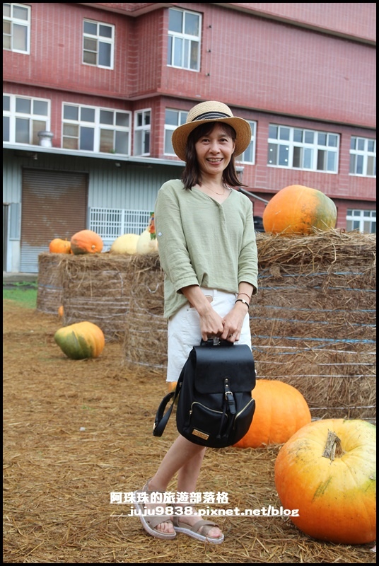 造橋南瓜隧道5.JPG 造橋南瓜隧道5.JPG