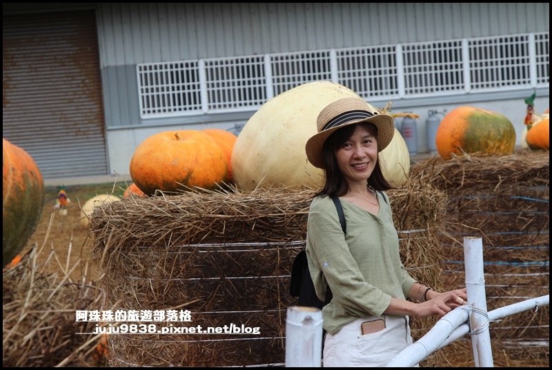 造橋南瓜隧道2.JPG 造橋南瓜隧道2.JPG