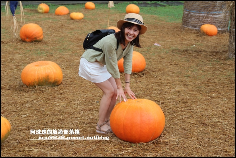 造橋南瓜隧道7.JPG 造橋南瓜隧道7.JPG