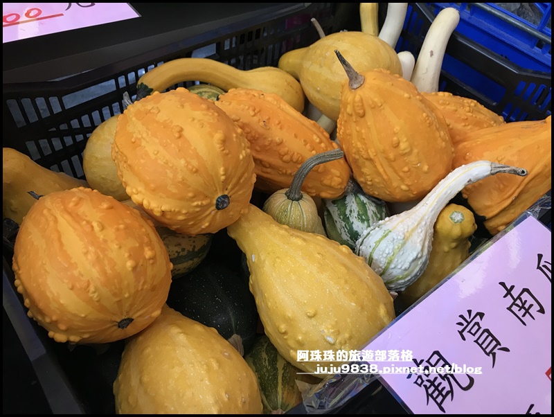 造橋南瓜隧道23.JPG 造橋南瓜隧道23.JPG