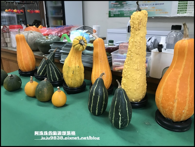 造橋南瓜隧道19.JPG 造橋南瓜隧道19.JPG