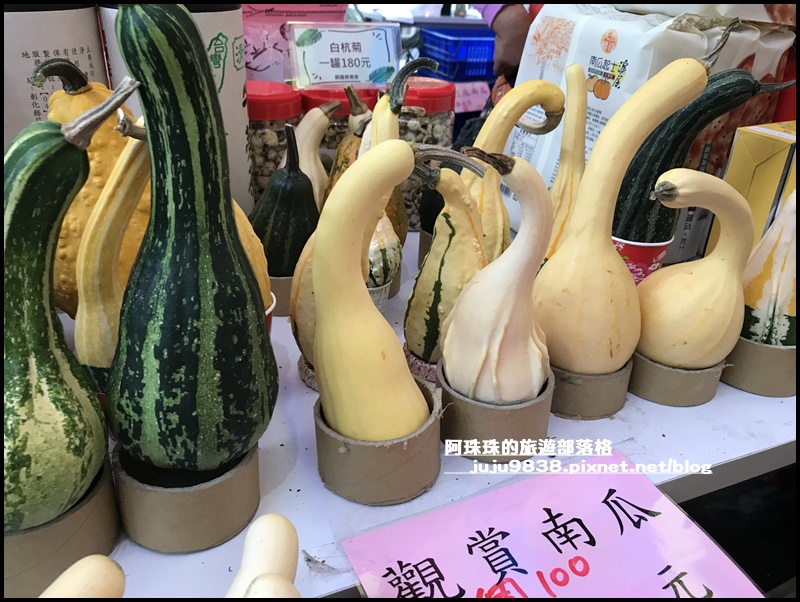 造橋南瓜隧道22.JPG 造橋南瓜隧道22.JPG