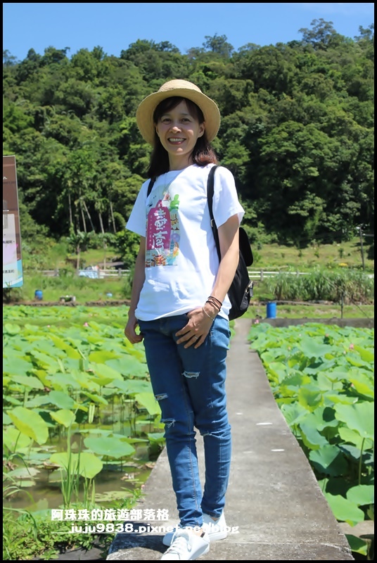 雙溪荷花園1.JPG