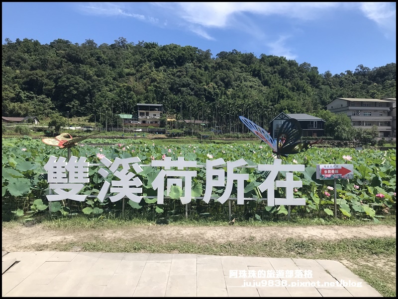 雙溪荷花園10.JPG