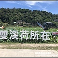 雙溪荷花園10.JPG