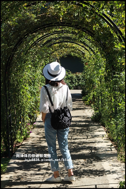 雅聞香草植物園33.JPG 雅聞香草植物園33.JPG