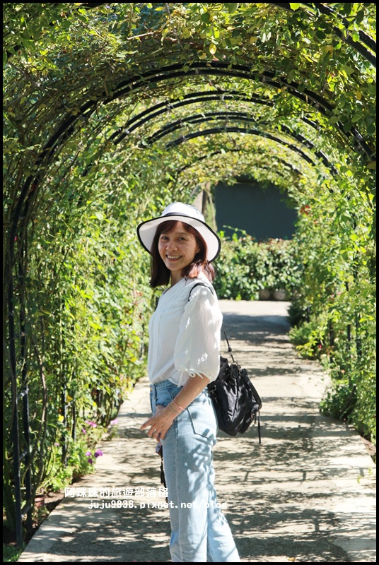 雅聞香草植物園31.JPG 雅聞香草植物園31.JPG