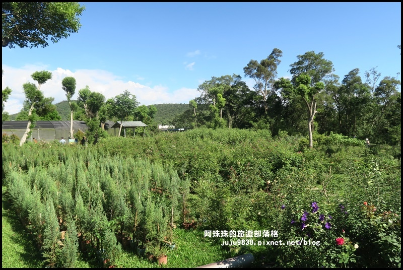雅聞香草植物園66.JPG 雅聞香草植物園66.JPG