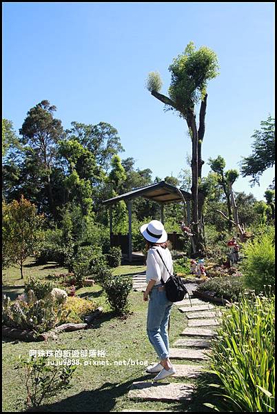 雅聞香草植物園18.JPG