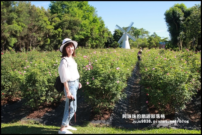 雅聞香草植物園16.JPG 雅聞香草植物園16.JPG