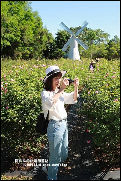 雅聞香草植物園14.JPG