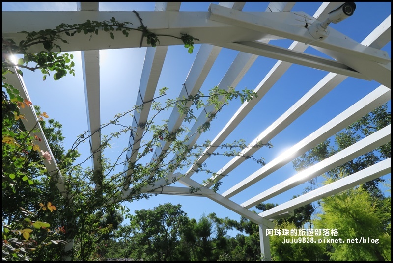 雅聞香草植物園59.JPG 雅聞香草植物園59.JPG