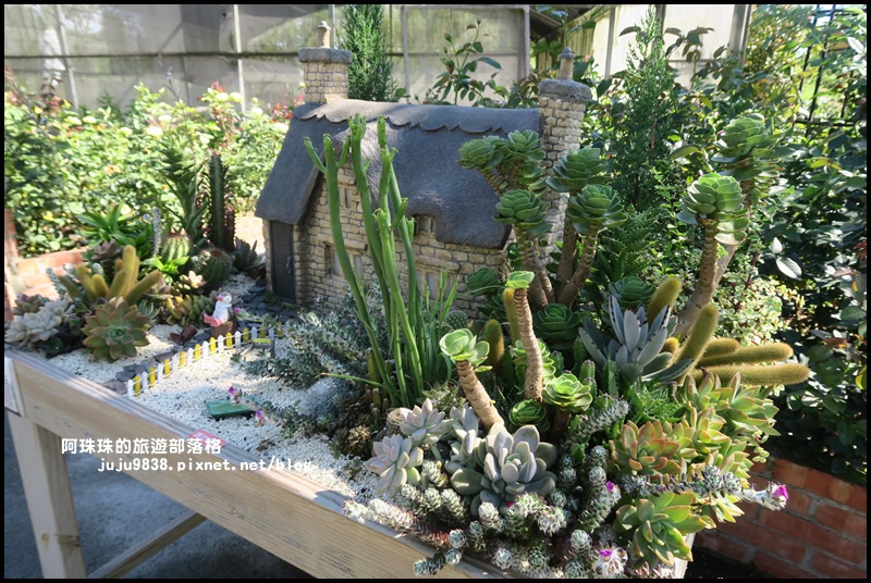 雅聞香草植物園55.JPG 雅聞香草植物園55.JPG