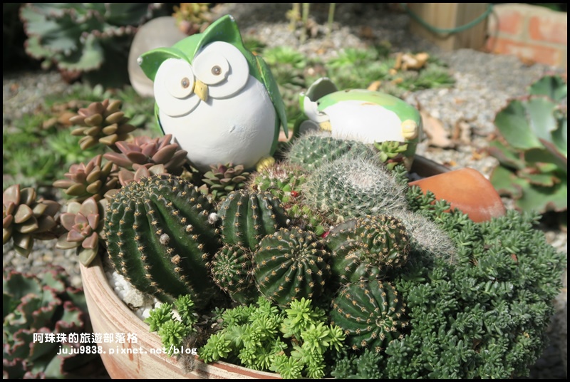 雅聞香草植物園53.JPG 雅聞香草植物園53.JPG