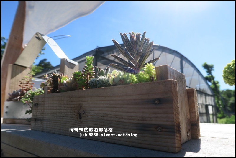 雅聞香草植物園47.JPG 雅聞香草植物園47.JPG